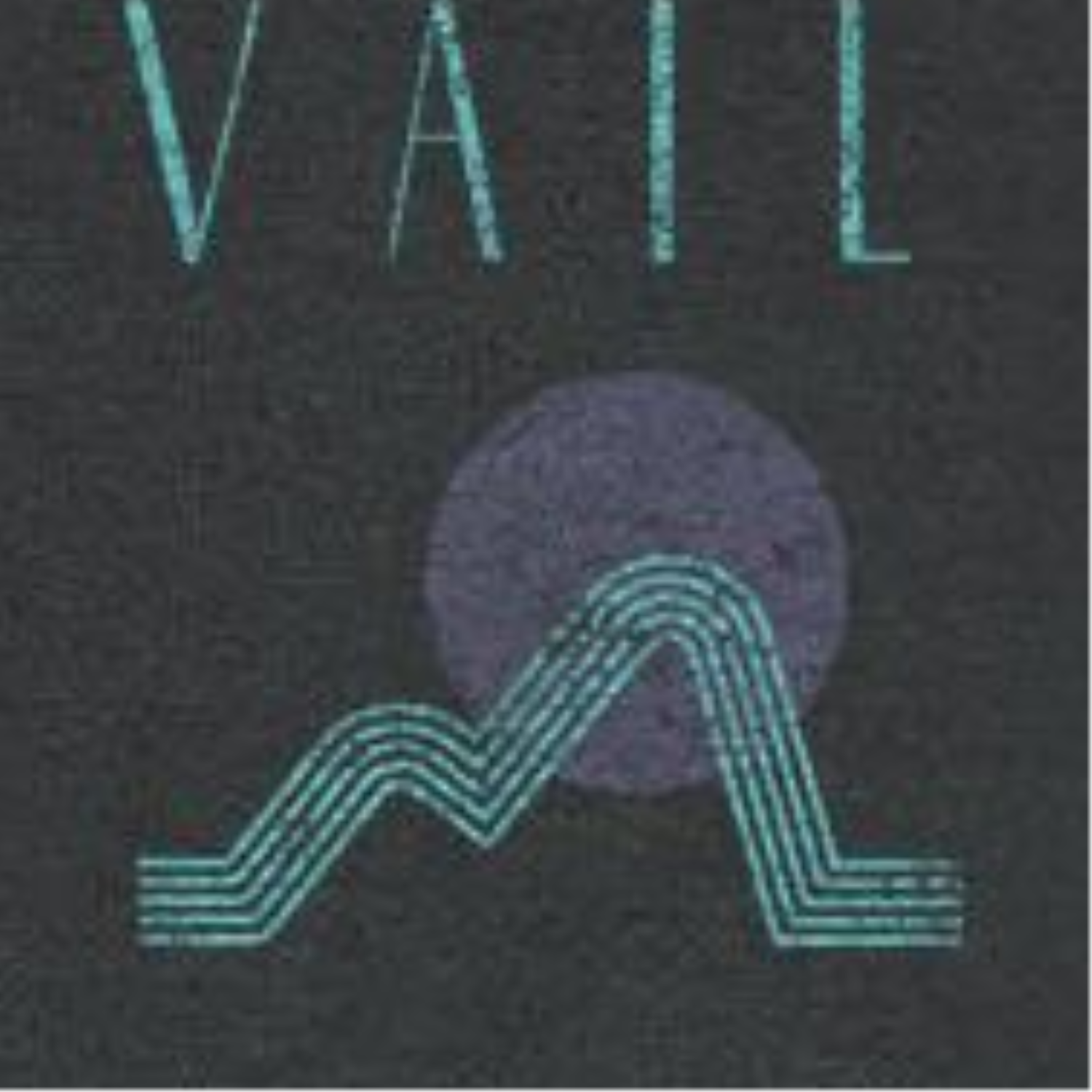 Skiing & Snowboarding Vail Front & Back Graphic Black T-Shirt