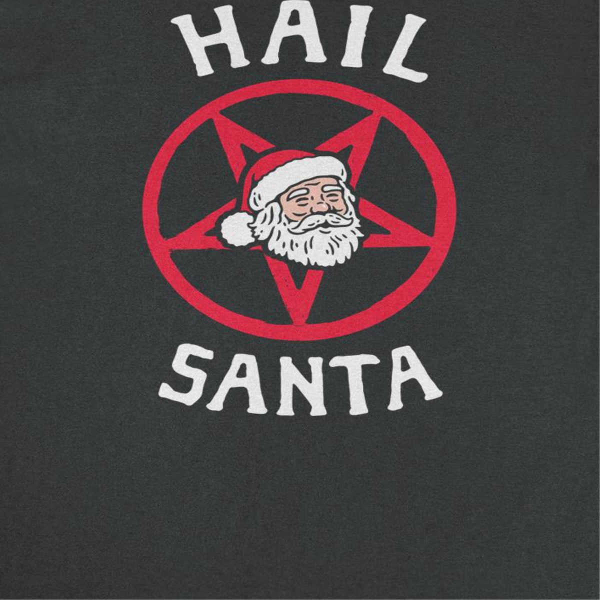 Christmas T-Shirt - Hail Santa