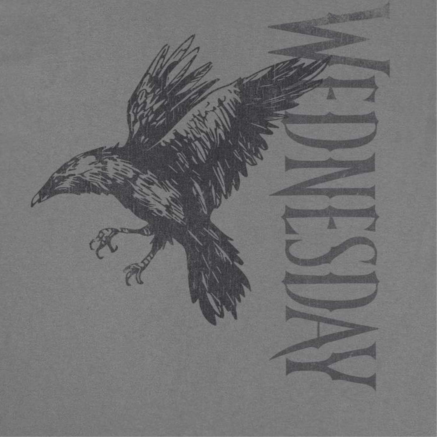 Wednesday Raven 2 Charcoal T-Shirt