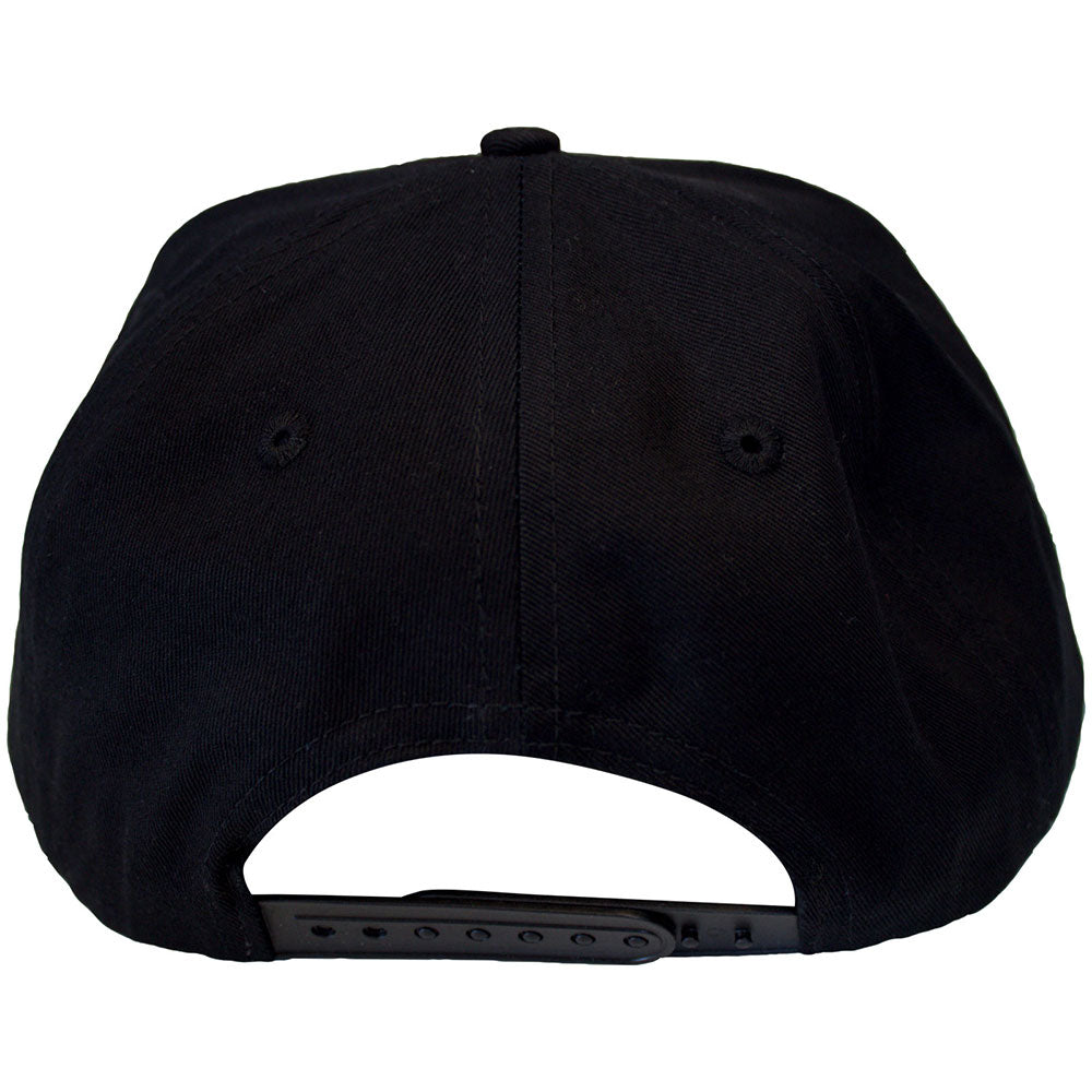 THE BEASTIE BOYS Snapback Cap, Check Your Head Logo