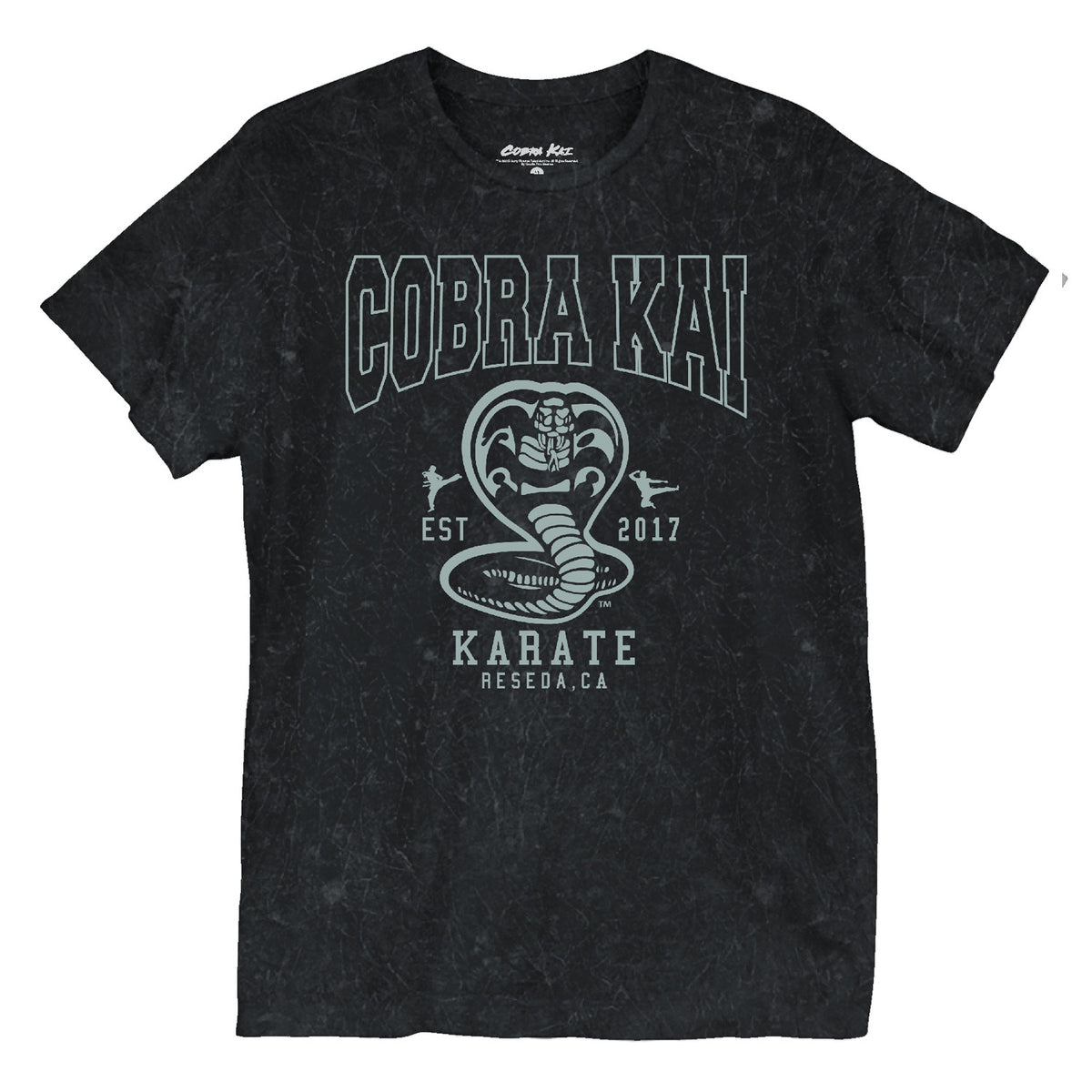 COBRA KAI Unisex T-Shirt, Est 2017