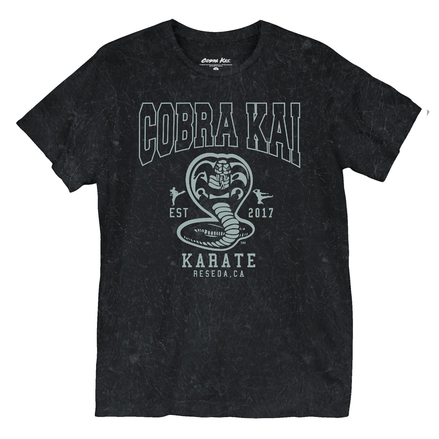 COBRA KAI Unisex T-Shirt, Est 2017