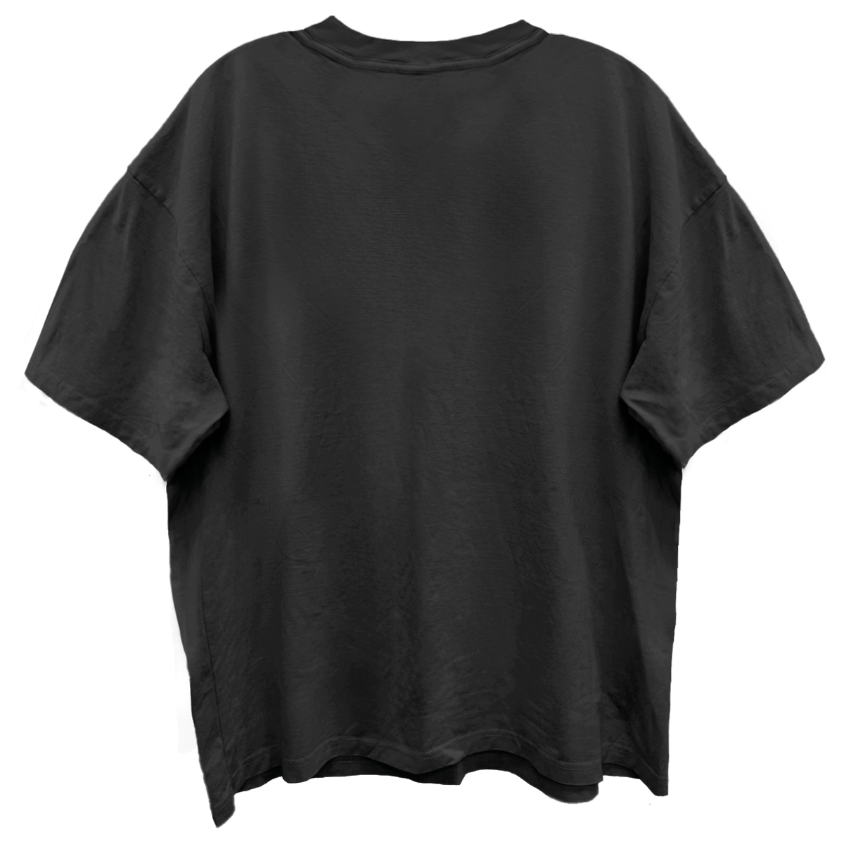 STONE TEMPLE PILOTS Oversized T-Shirt, CORE