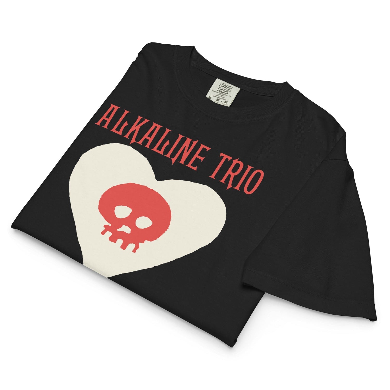 Alkaline Trio Est. 1996 Mineral Wash Womens Crop Top