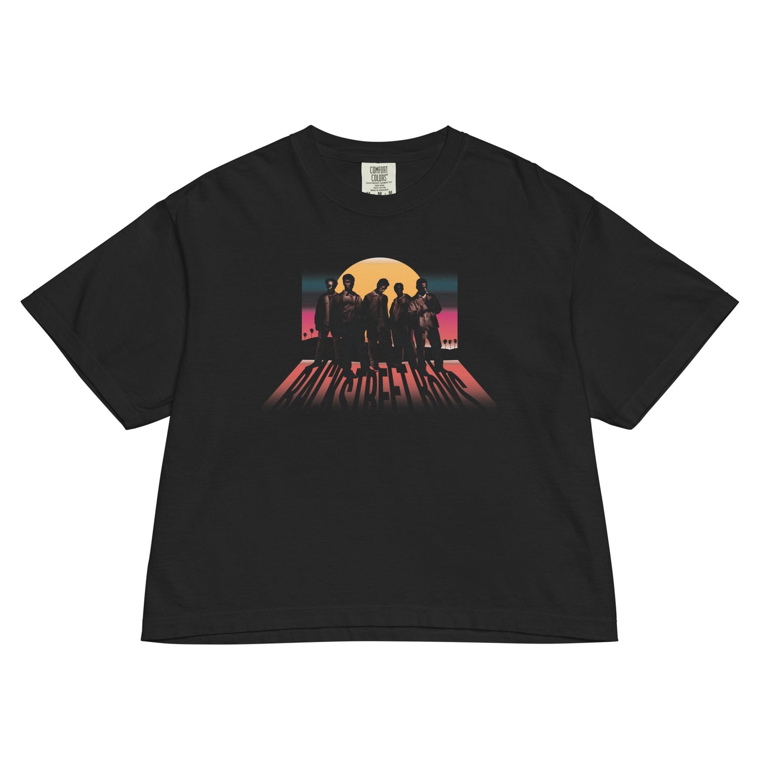 Backstreet Boys Sphere Mineral Wash Womens Crop Top