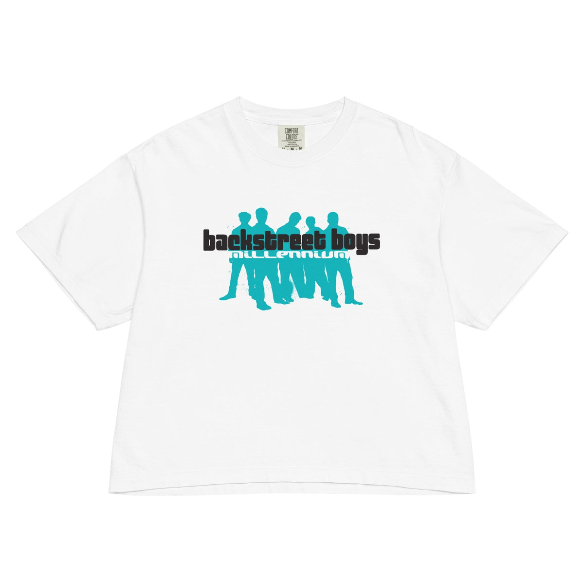 Backstreet Boys Millennium Mineral Wash Womens Crop Top