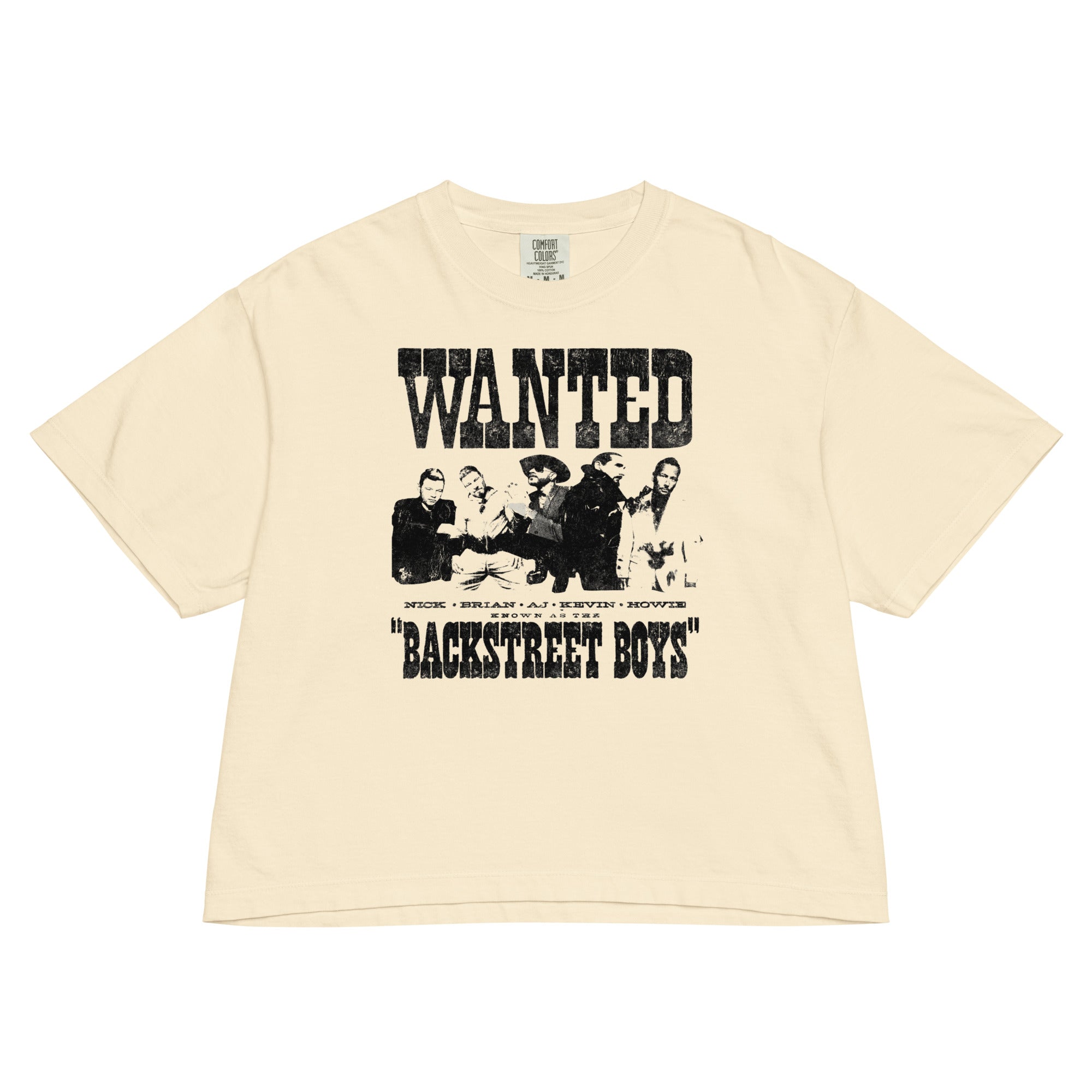 Backstreet Boys Wanted Mineral Wash Womens Crop Top