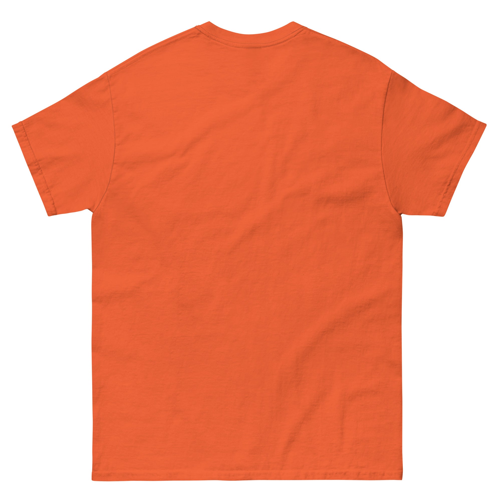 Backstreet Boys Coachella Sunset T-Shirt