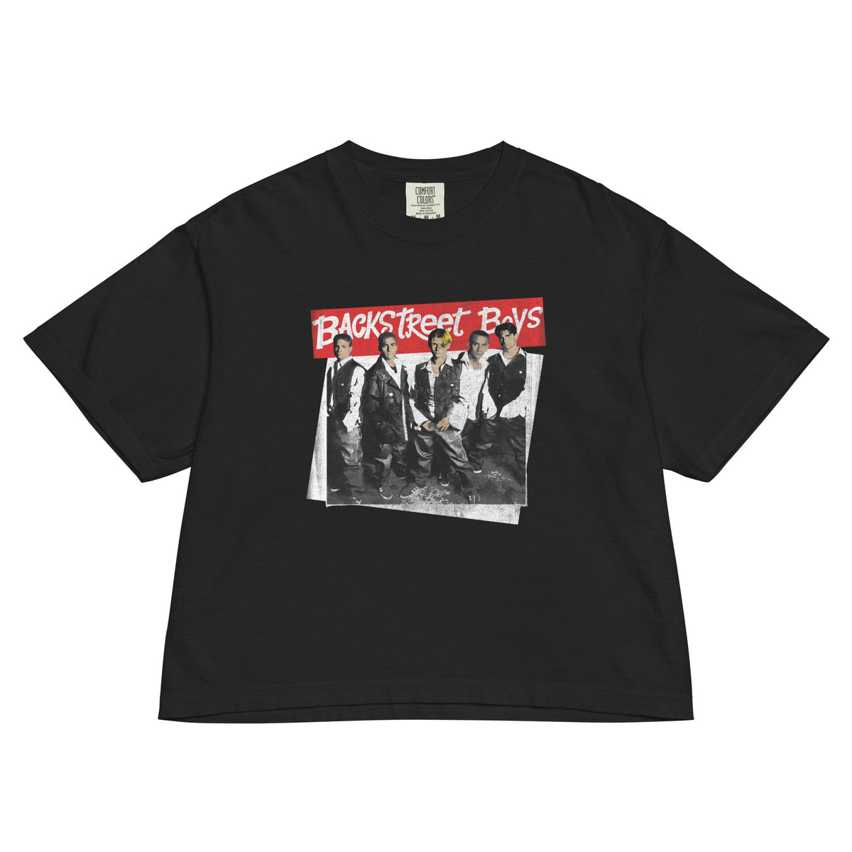 Backstreet Boys Everybody Mineral Wash Womens Crop Top