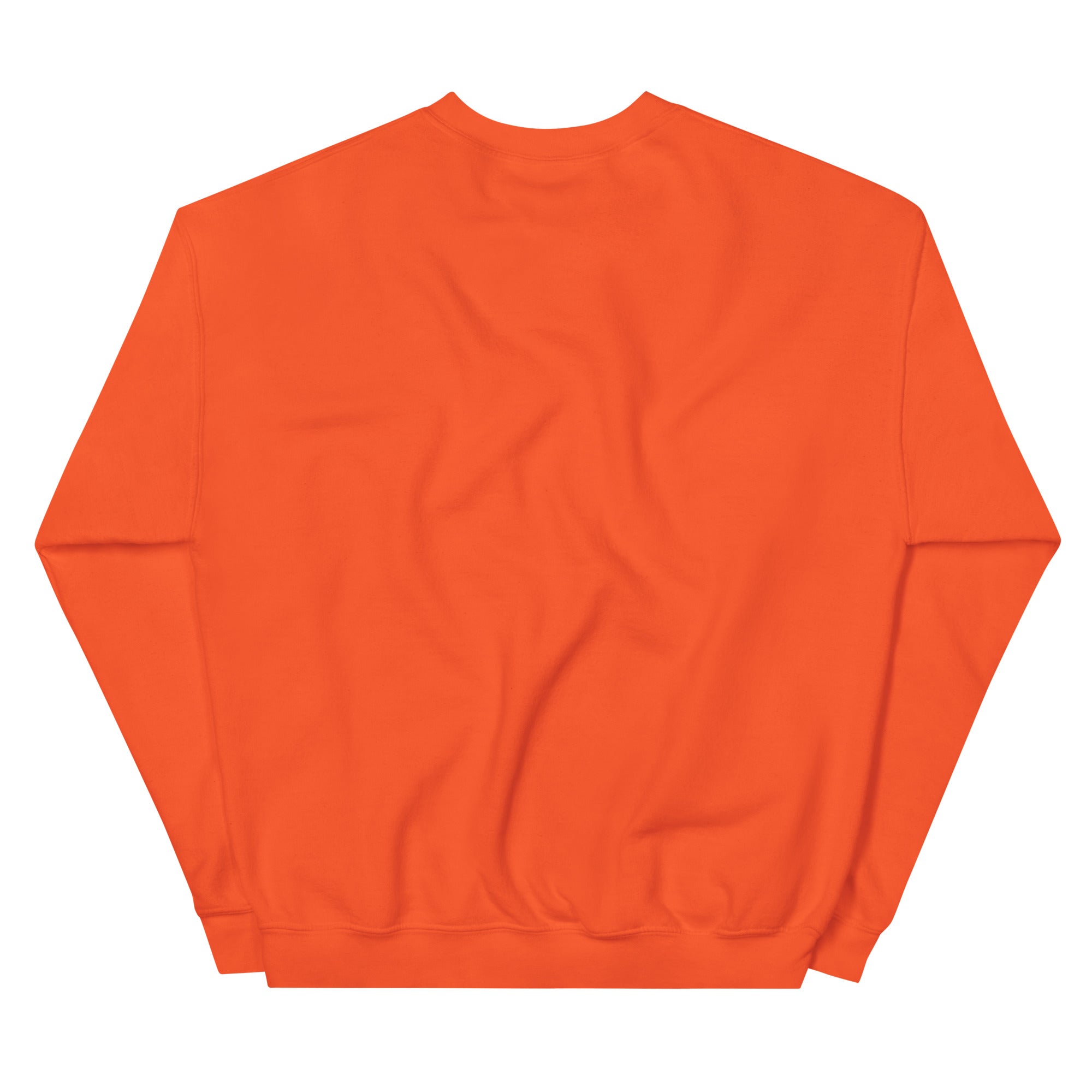Backstreet Boys Coachella Sunset Sweatshirt