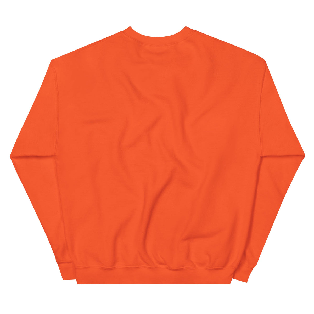 Backstreet Boys Coachella Sunset Sweatshirt