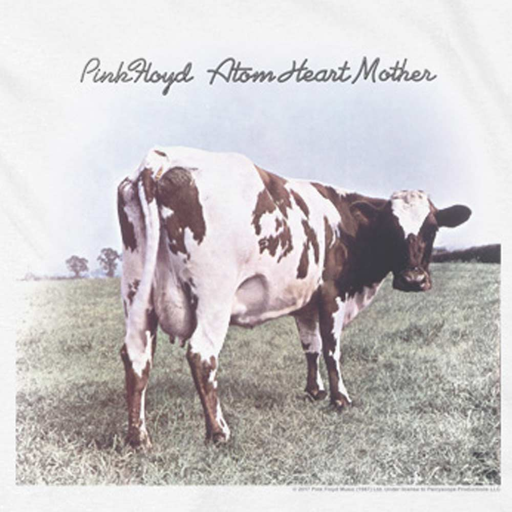 Premium PINK FLOYD Hoodie, Atom Heart Mother