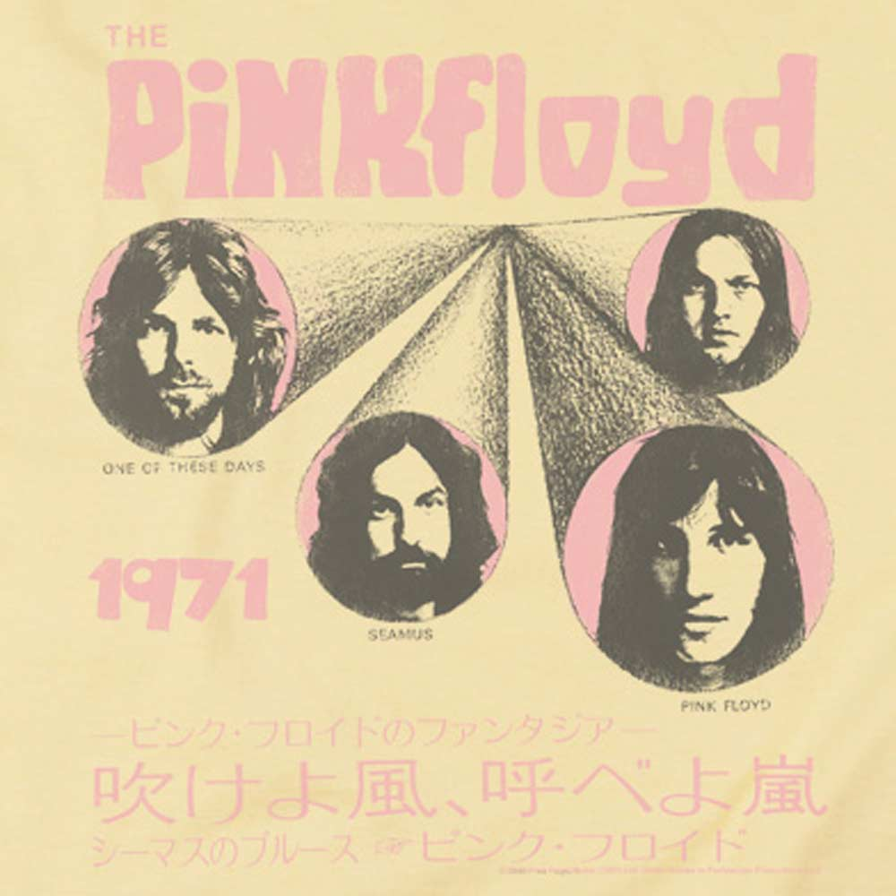 PINK FLOYD Impressive T-Shirt, One Of These Days