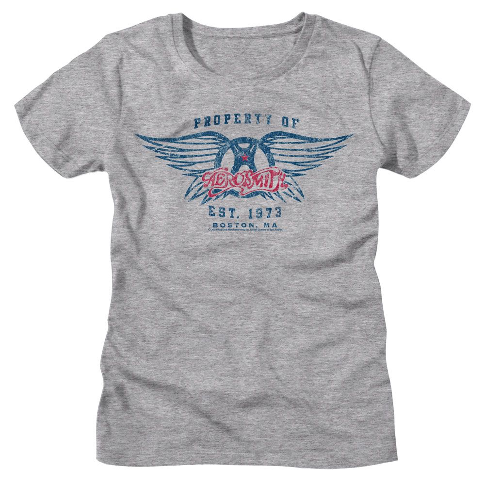 AEROSMITH T-Shirt, Est 1973