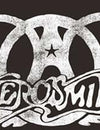 Unforgettable Memories Await: The Ultimate Aerosmith Farewell Tour Experience