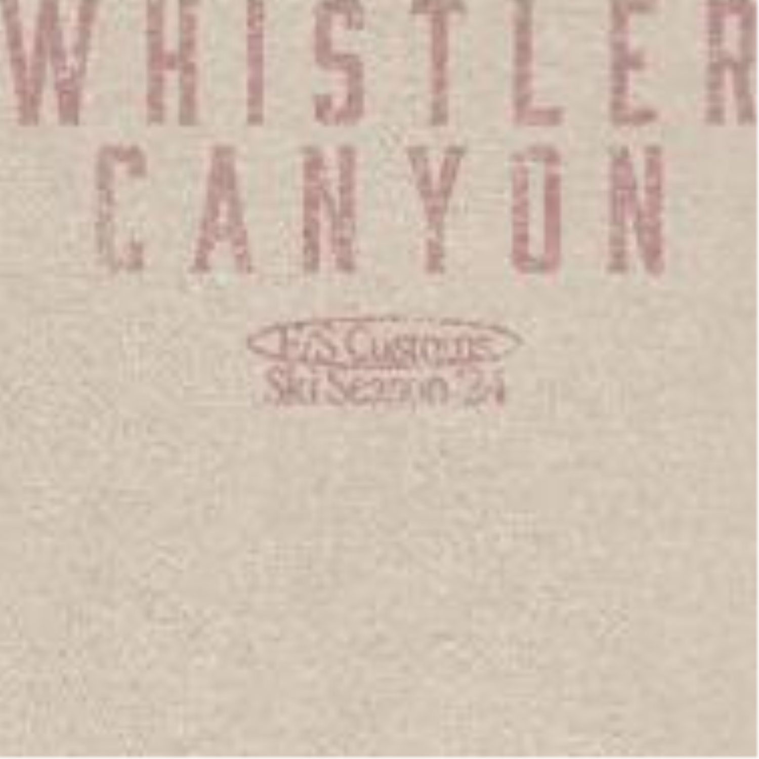 Snowboarding Whistler Light Front &amp; Back Print T-Shirt