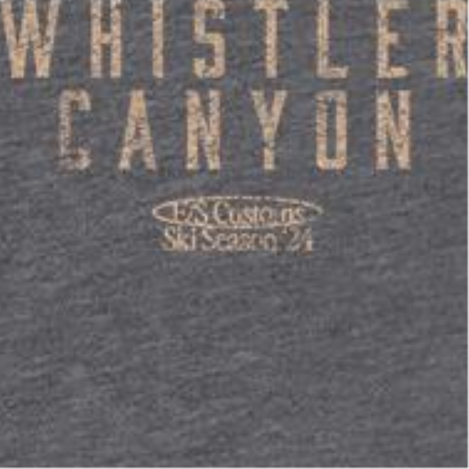 Skiing Whistler Dark Heather Front &amp; Back Print T-Shirt