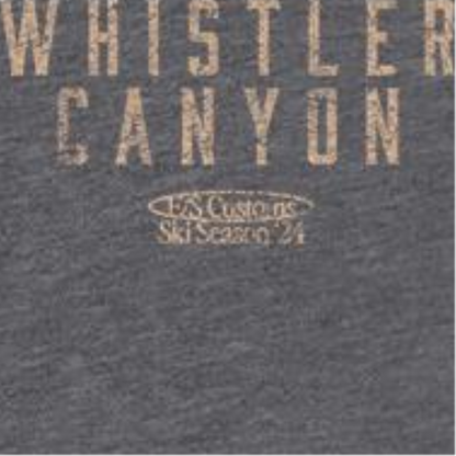 Skiing Whistler Dark Heather Front &amp; Back Print T-Shirt