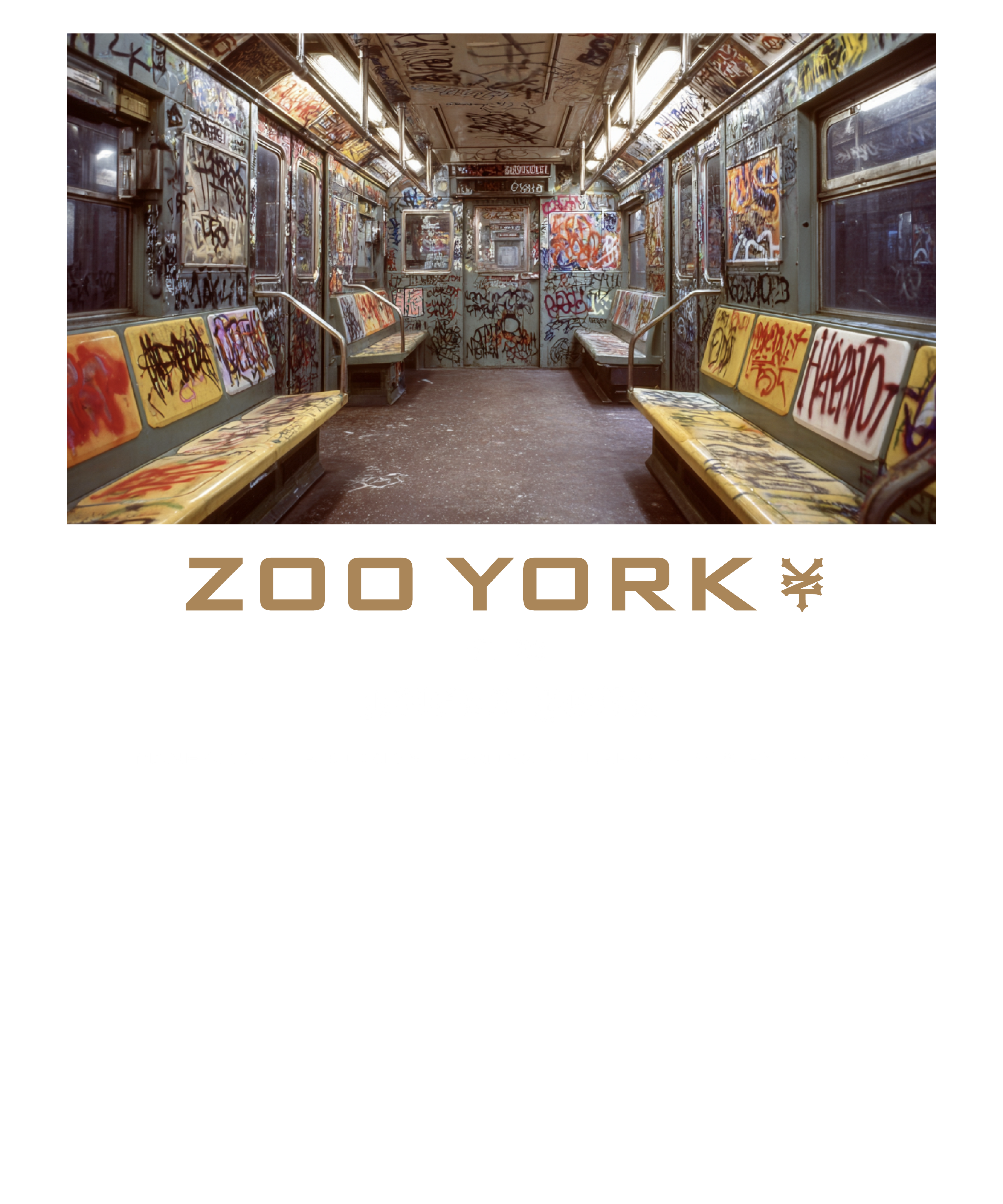 Zoo York Nueva York Vintage Subway Panel T-Shirt