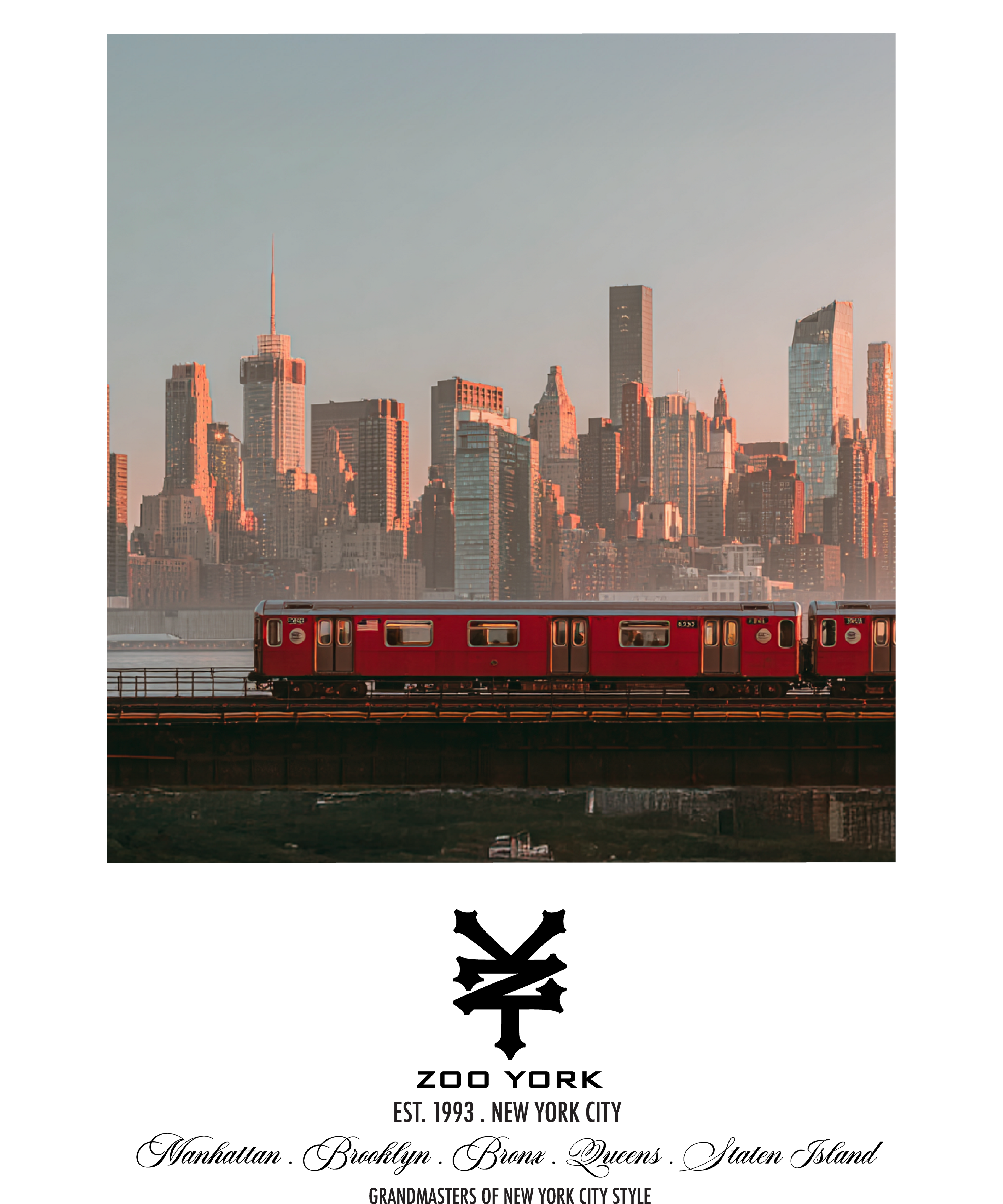 Zoo York Subway Skyline Nueva York Classic Panel T-Shirt