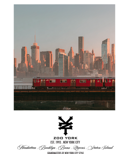 Zoo York Subway Skyline Nueva York Classic Panel T-Shirt