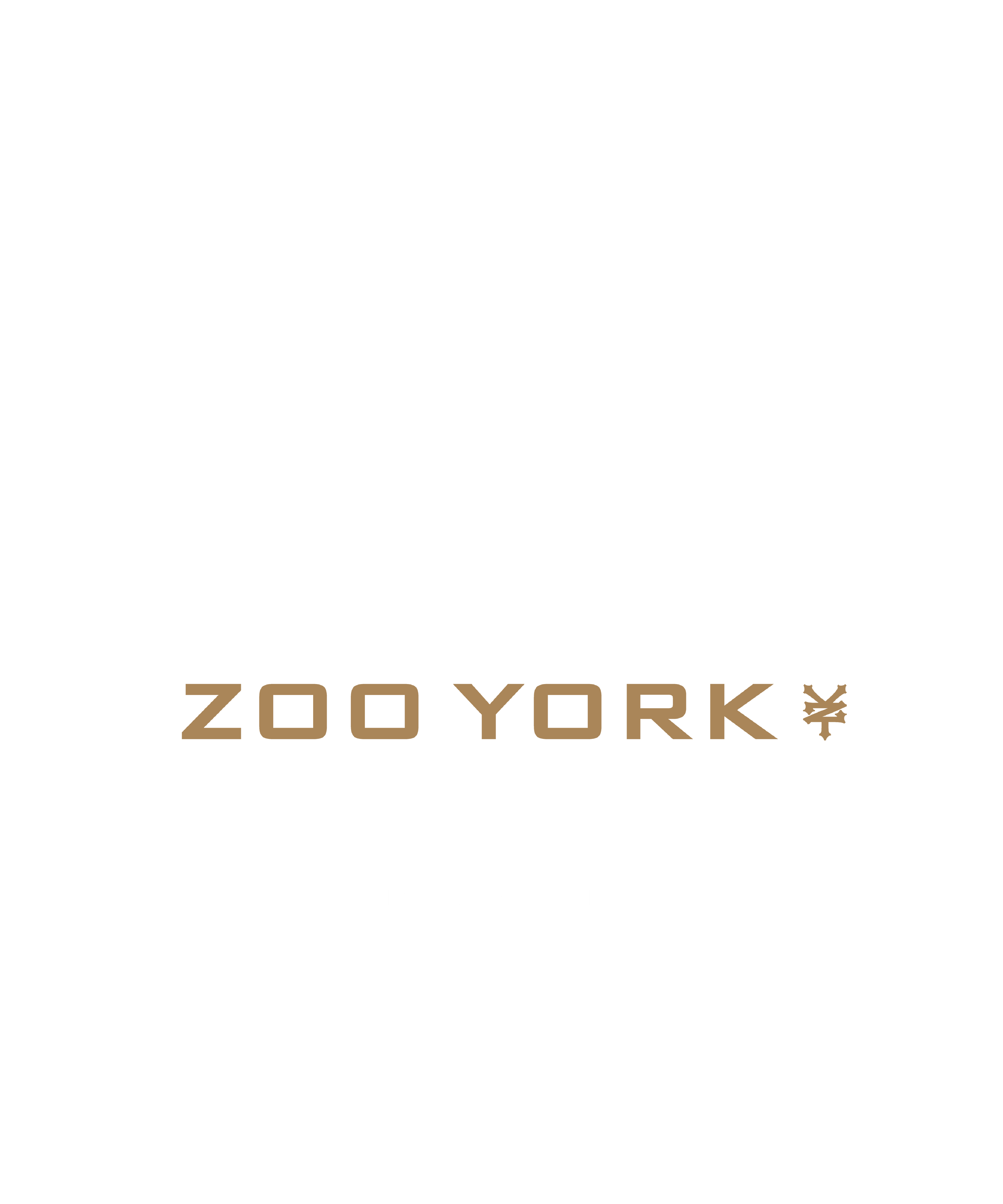 Zoo York 93 Athletic Style Nueva York Logo T-Shirt