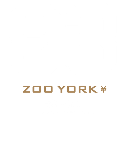 Zoo York 93 Athletic Style Nueva York Logo T-Shirt