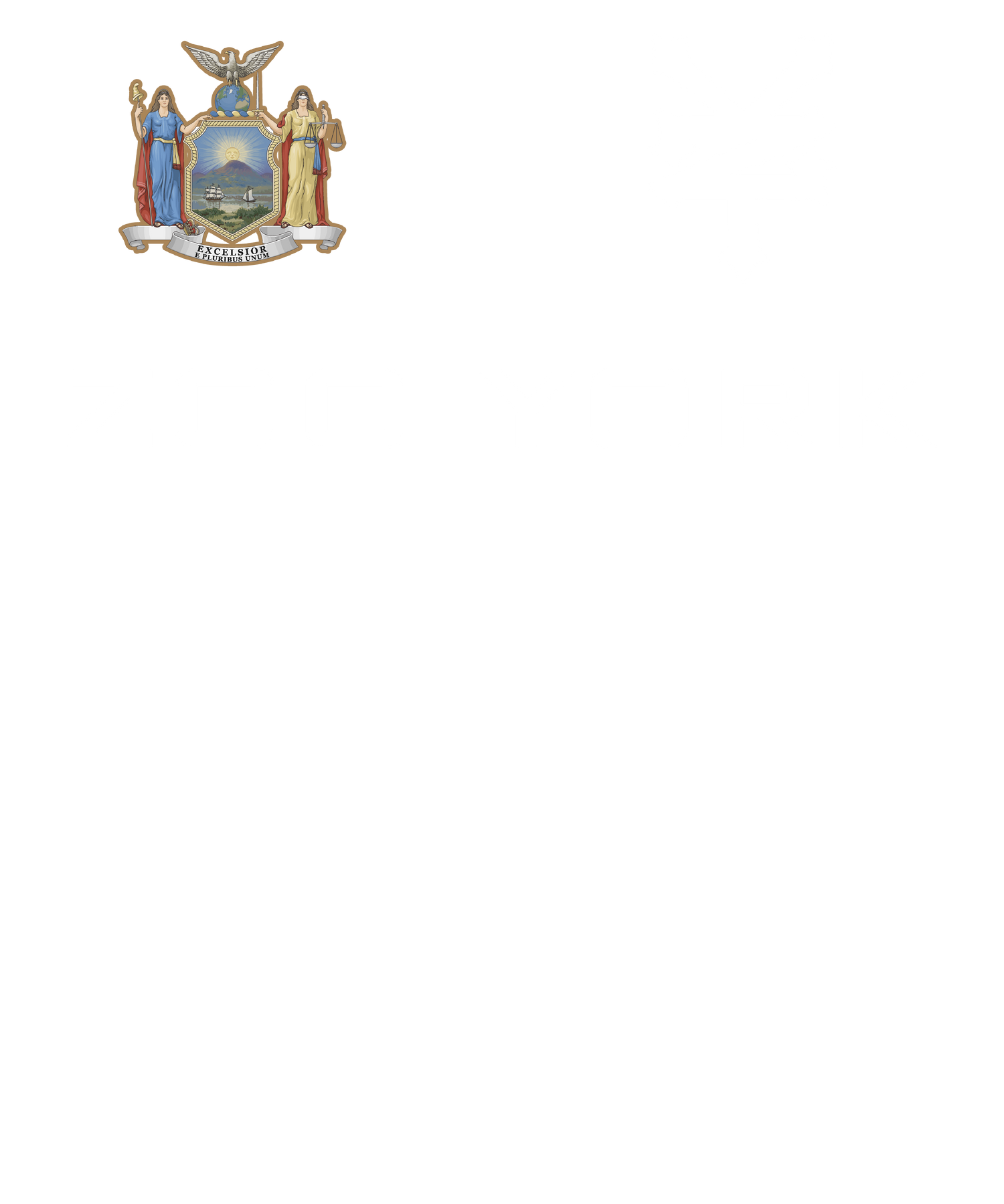 Zoo York Excelsior Classic Patch Logo T-Shirt