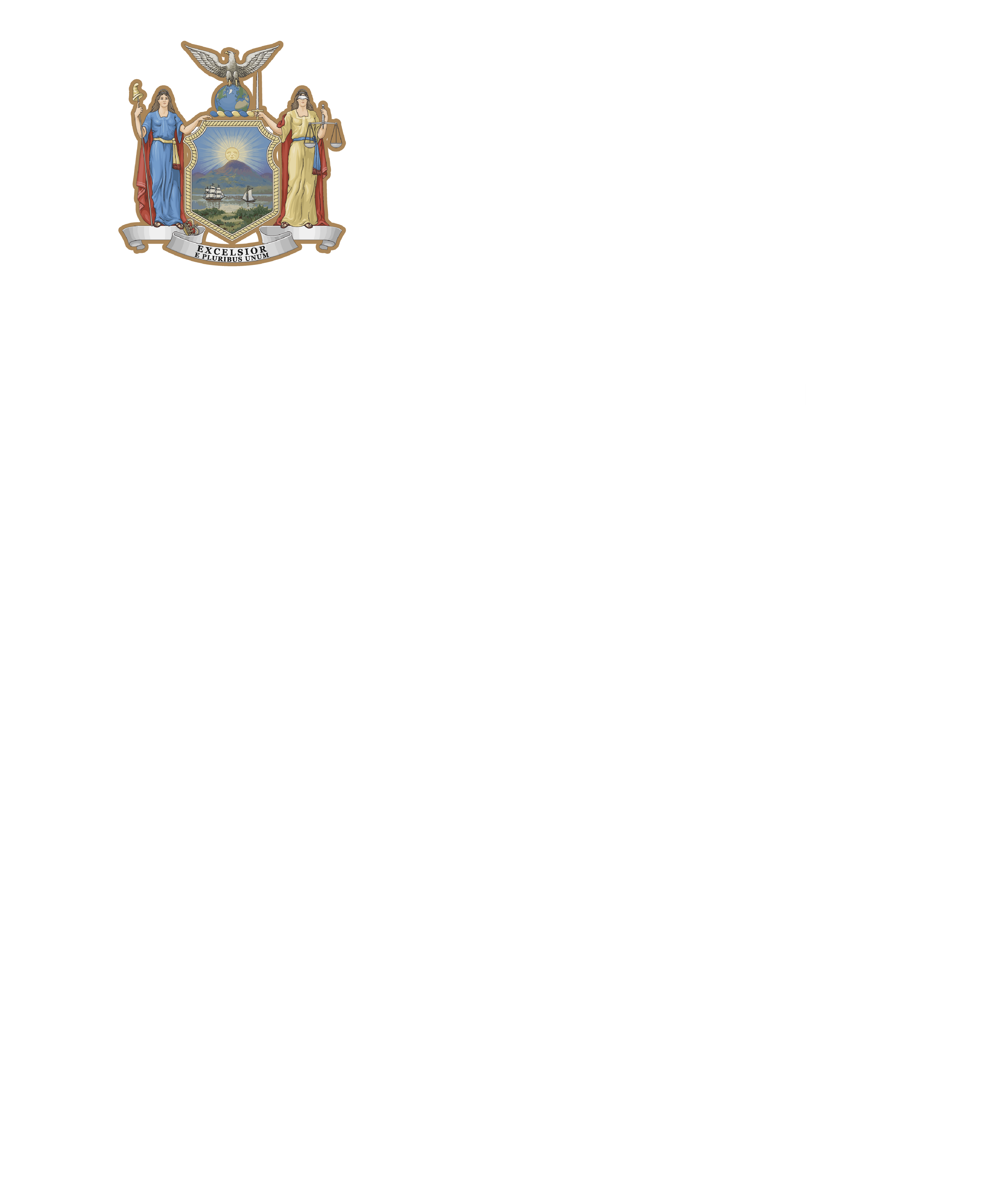 Zoo York Excelsior Classic Patch Logo T-Shirt