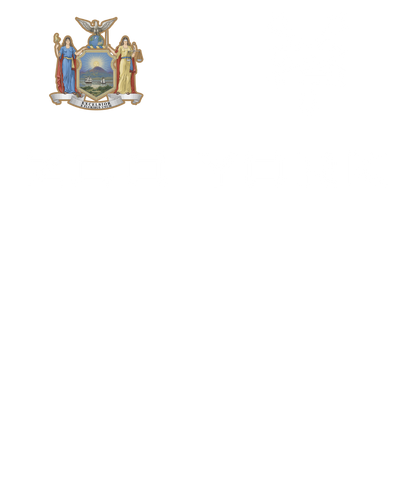 Zoo York Excelsior Classic Patch Logo T-Shirt