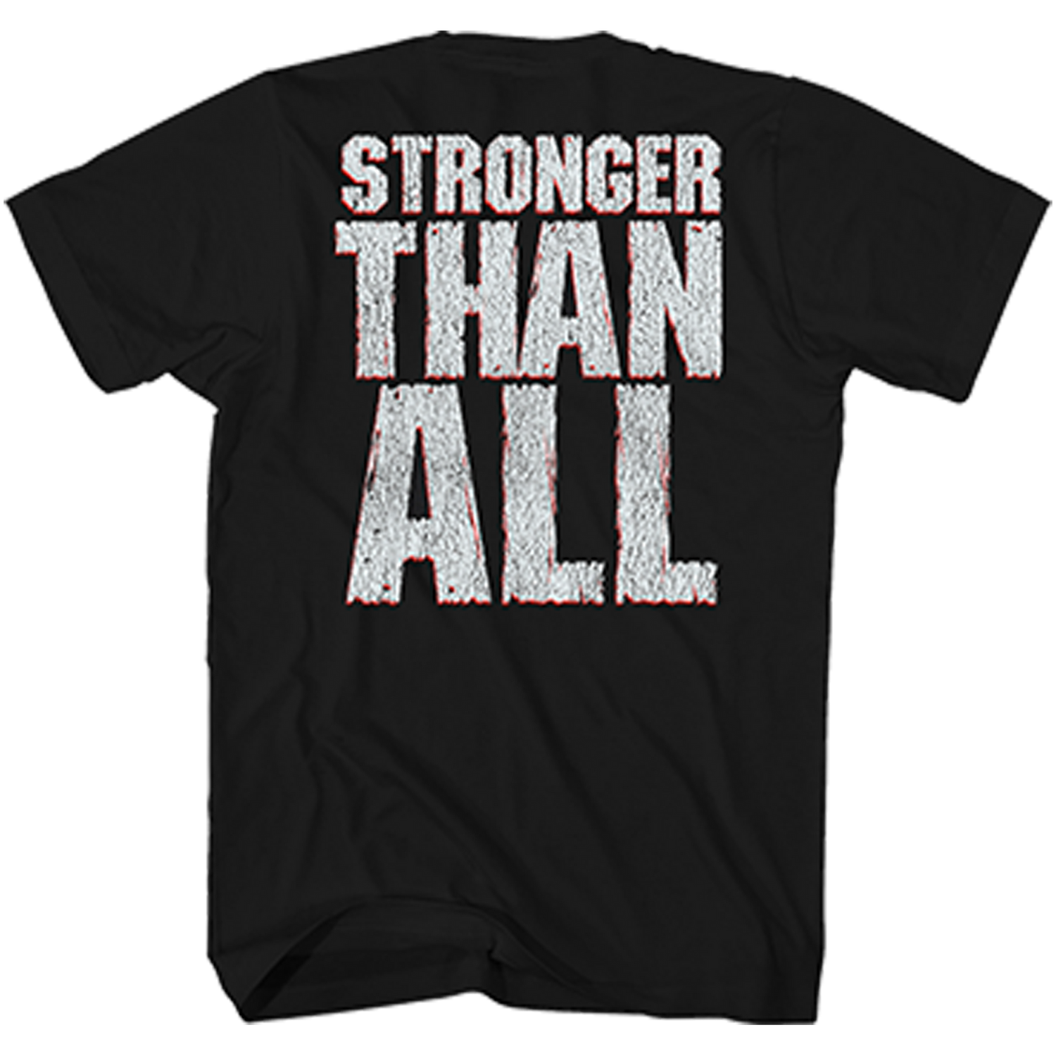 PANTERA Attractive T-Shirt, VULGAR DISPLAY OF POWER