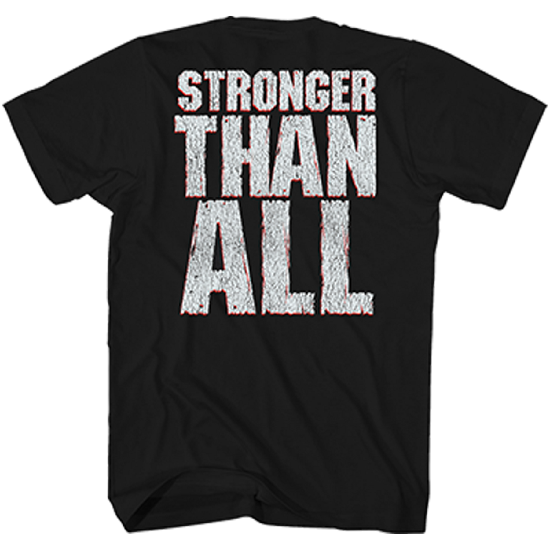 PANTERA Attractive T-Shirt, VULGAR DISPLAY OF POWER