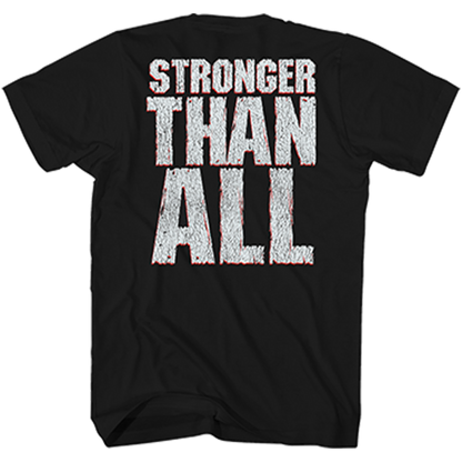 PANTERA Attractive T-Shirt, VULGAR DISPLAY OF POWER