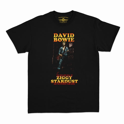 DAVID BOWIE Superb T-Shirt, Ziggy Stardust &amp; the Spiders from Mars