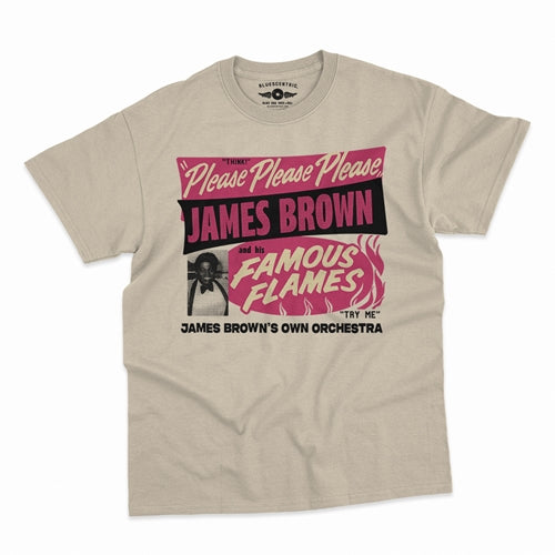 JAMES BROWN Superb T-Shirt, Famous Flames