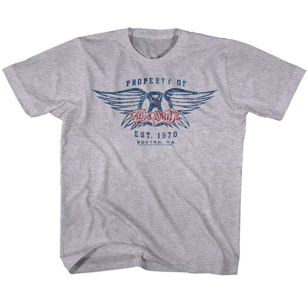 AEROSMITH Eye-Catching T-Shirt, EST. 1970