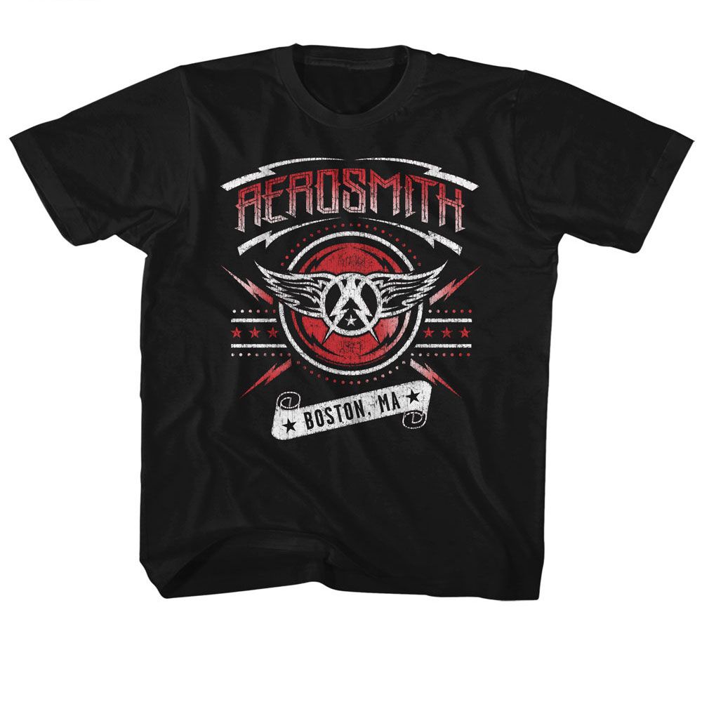 AEROSMITH Eye-Catching T-Shirt, BOSTON 2015