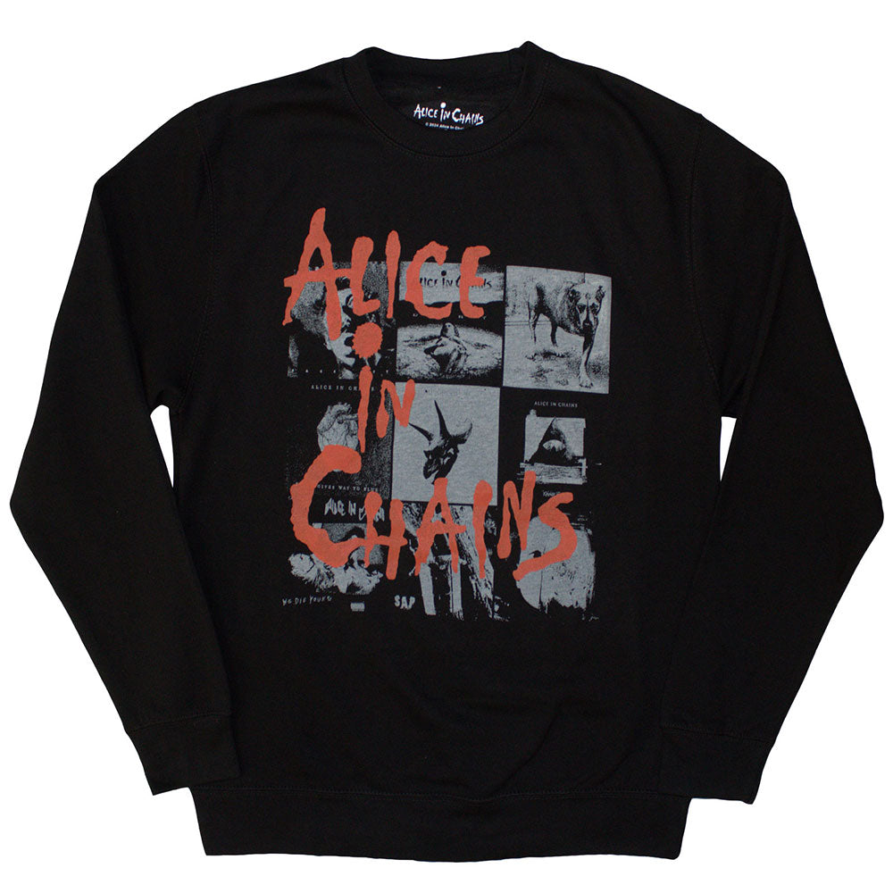 ALICE IN CHAINS Attractive Sweatshirt, Albums