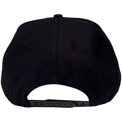 THE BEASTIE BOYS Snapback Cap, Check Your Head Logo
