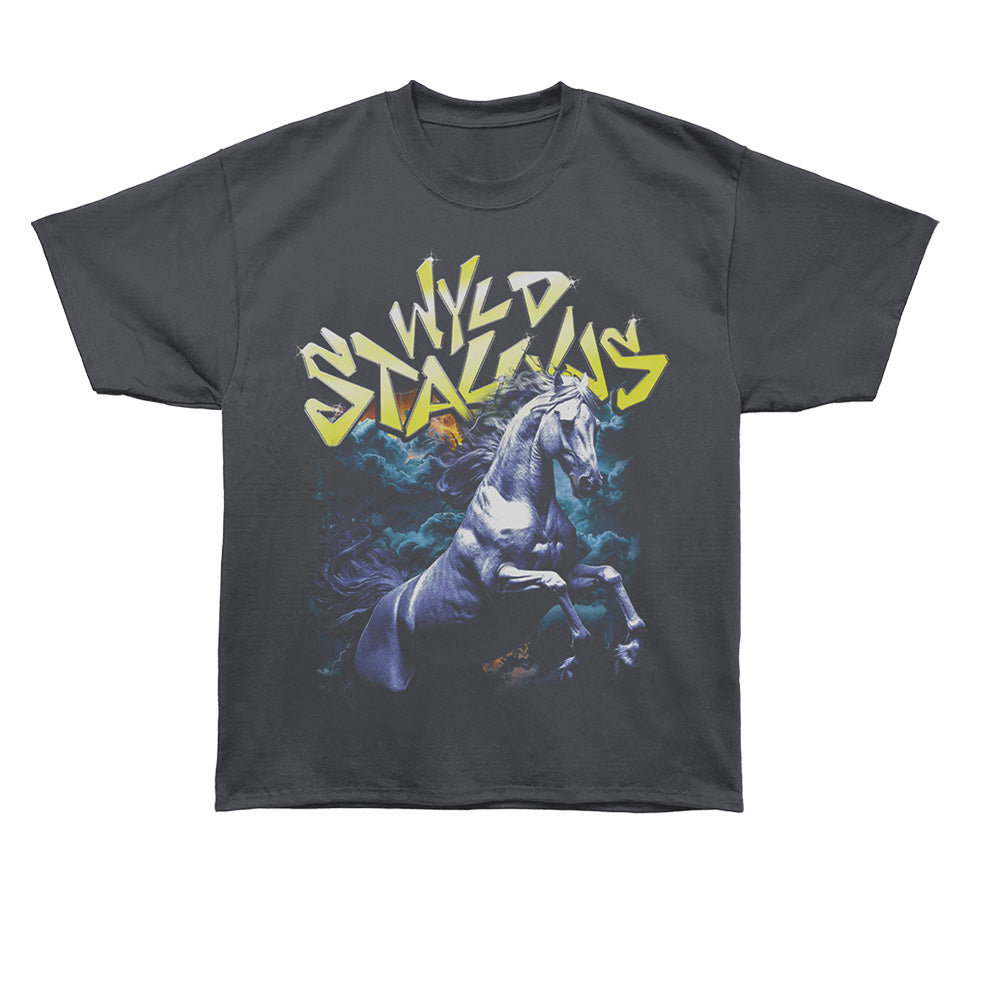 BILL AND TED Oversized T-Shirt, WYLD STALLYNS TOUR