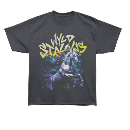 BILL AND TED Oversized T-Shirt, WYLD STALLYNS TOUR
