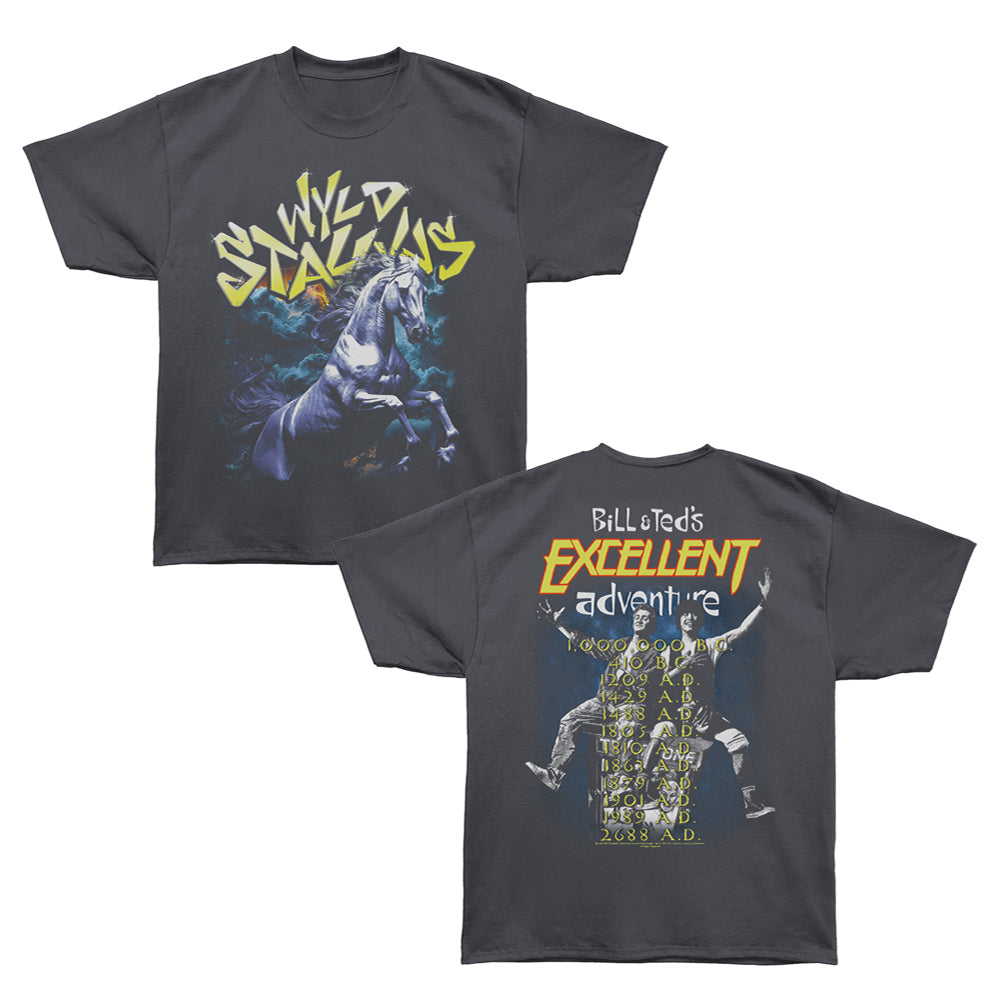 BILL AND TED Oversized T-Shirt, WYLD STALLYNS TOUR