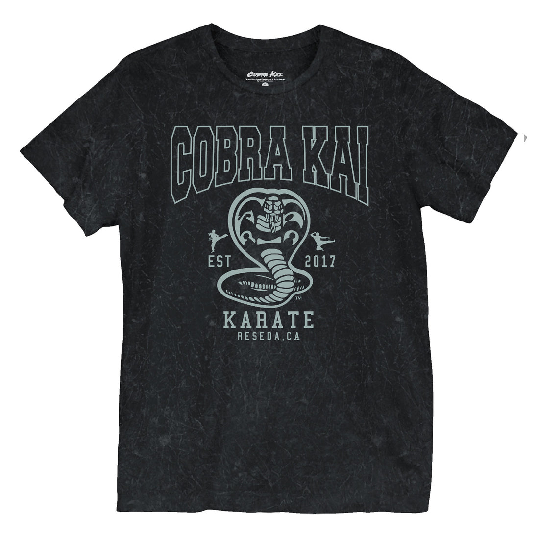 COBRA KAI Unisex T-Shirt, Est 2017
