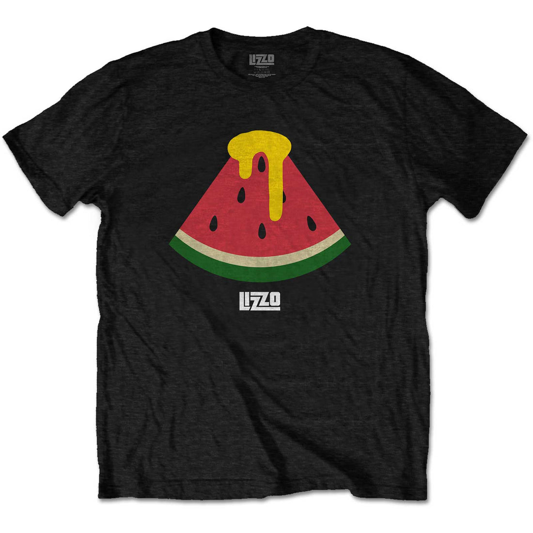 LIZZO Attractive T-Shirt, Watermelon