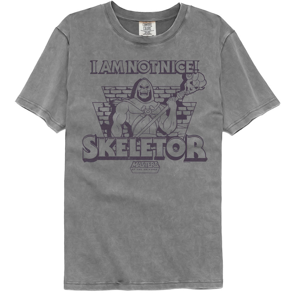 MASTERS OF THE UNIVERSE Garment Dye T-Shirt, NOT NICE
