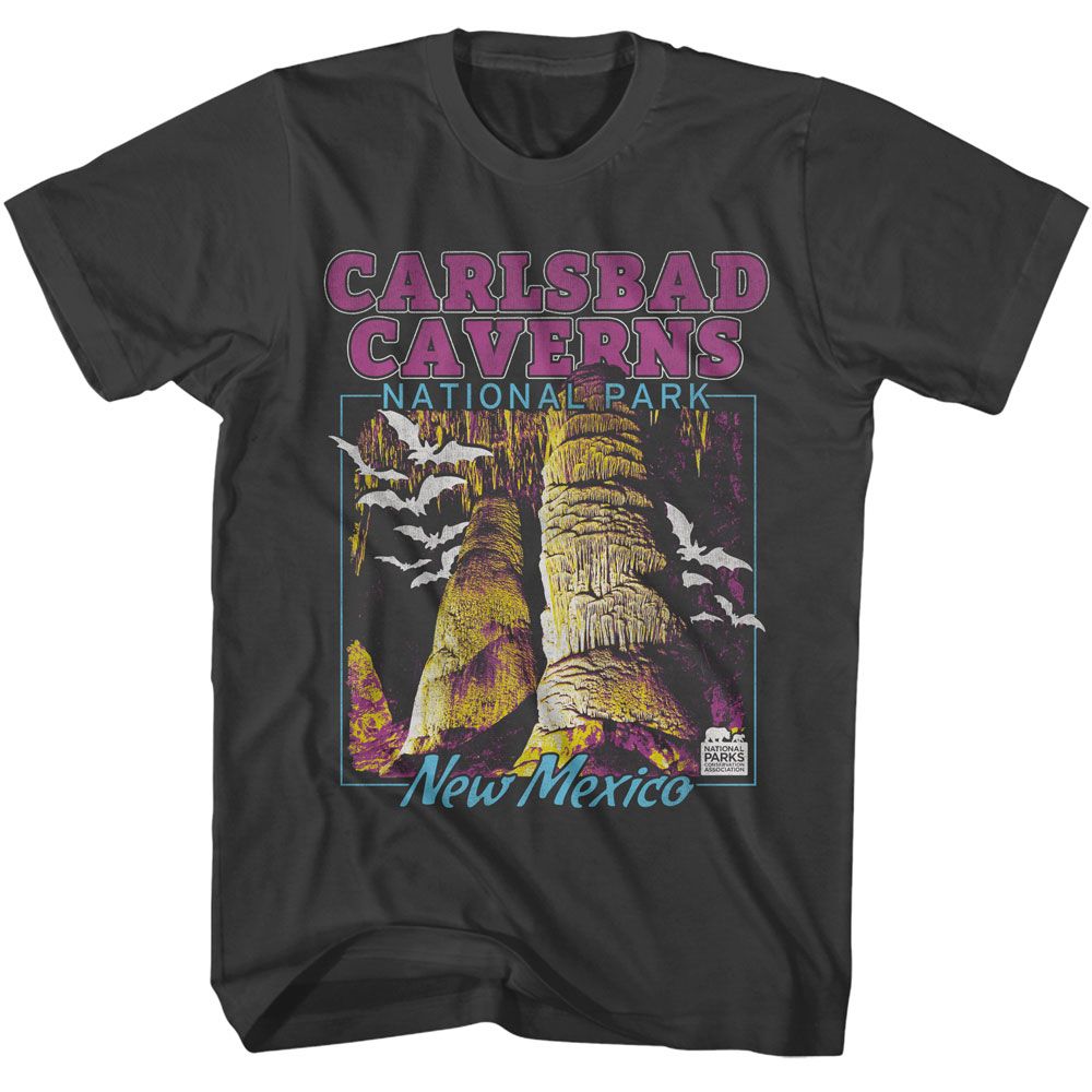 NATIONAL PARKS Eye-Catching T-Shirt, CARLSBAD CAVERNS