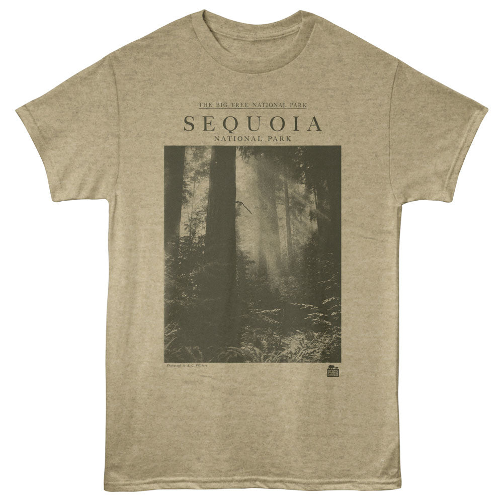 NATIONAL PARKS Eye-Catching T-Shirt, SEQUOIA PHOTO