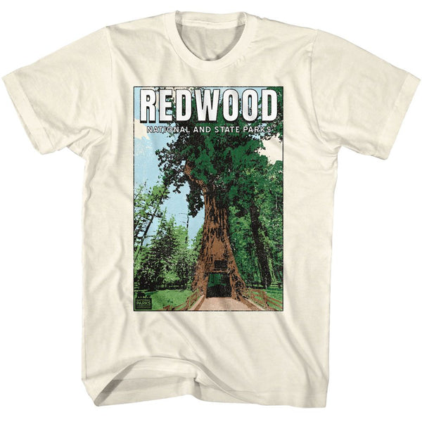 NPCA Eye-Catching T-Shirt, Redwood National