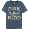 PINK FLOYD Garment Dye T-Shirt, Athletic