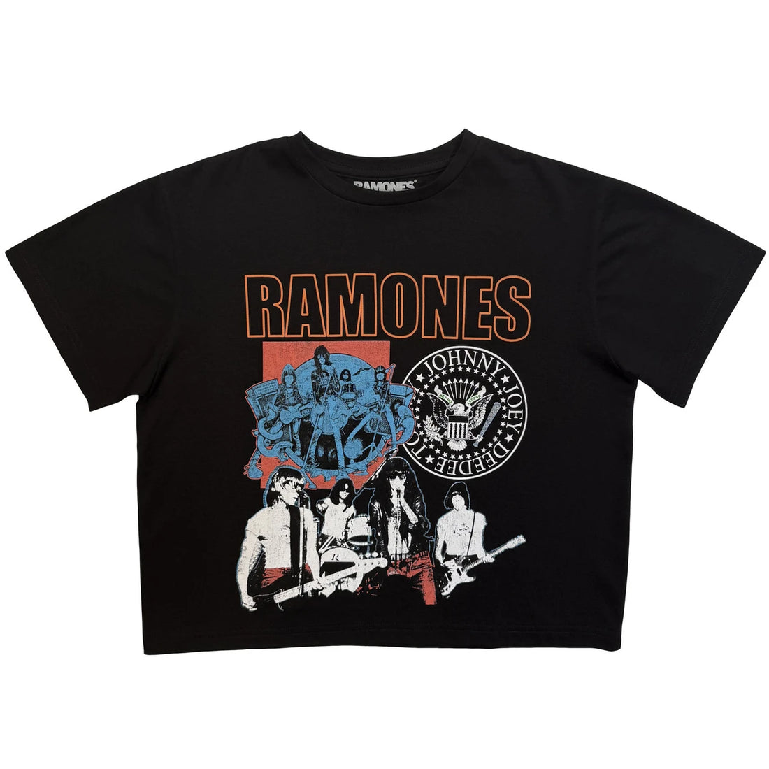 RAMONES Attractive Crop Top, Montage